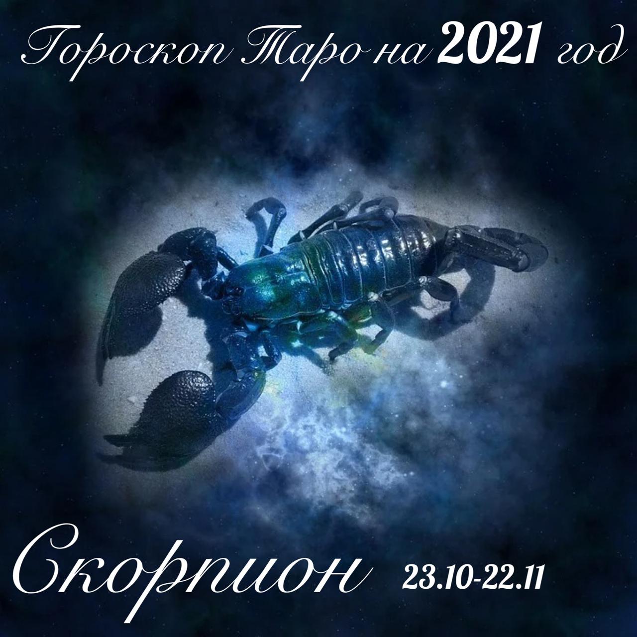 Скорпион  (23 октября — 22 ноября)